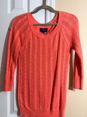 American Eagle Outfitters Coral Scoop-Neck Cable Knit Sweater